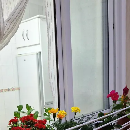 Apartment Oroval Cruz